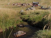 13 Ecco l'acqua nera